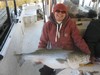 (02/01/2017) - Nice Striped Bass